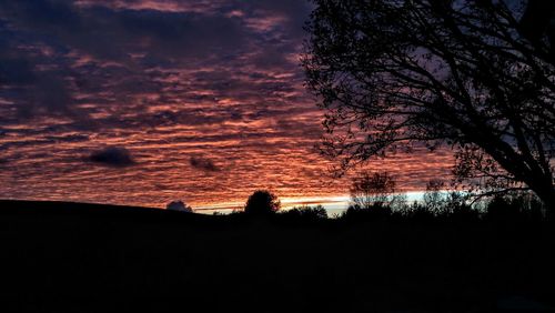 Low angle view of silhouette trees against sky at sunset