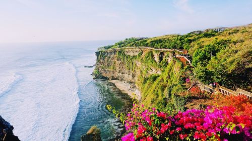 High angle view of flowering plants by sea against sky