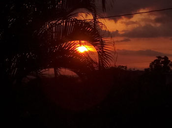 Low angle view of silhouette trees against sky during sunset