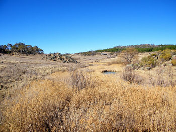 Scenic view of landscape against clear blue sky