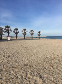 Palm trees on beach against sky