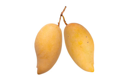 Close-up of oranges against white background