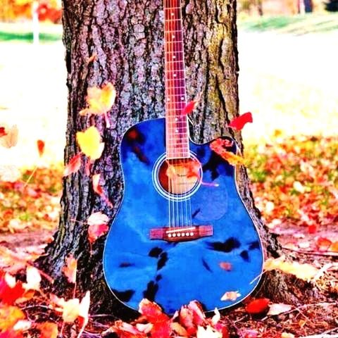 tree trunk, trunk, string instrument, music, musical instrument, tree, arts culture and entertainment, musical equipment, string, guitar, nature, plant, musical instrument string, no people, day, focus on foreground, blue, outdoors, land, close-up