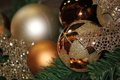 Close-up of christmas tree