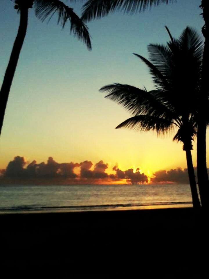 palm tree, sunset, sea, silhouette, horizon over water, scenics, tranquil scene, beach, tranquility, water, tree, beauty in nature, sky, nature, shore, idyllic, growth, orange color, outdoors, tree trunk