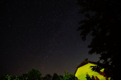Low angle view of trees against sky at night