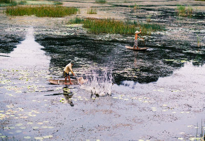 Ducks swimming in lake