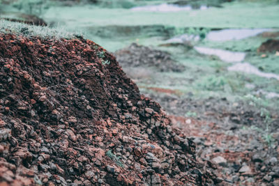 Close-up of rocks on shore