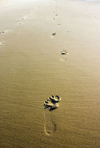 High angle view of footprints on sand at beach