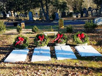 View of cemetery