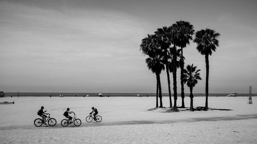 People riding bicycles at beach against sky