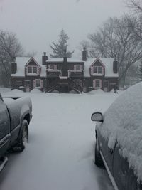 Snow covered bare trees