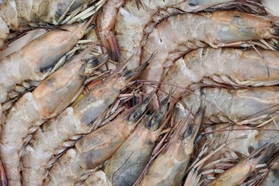 Full frame shot of fish for sale in market