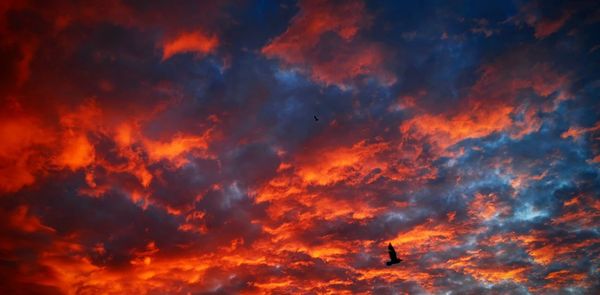 Low angle view of dramatic sky during sunset