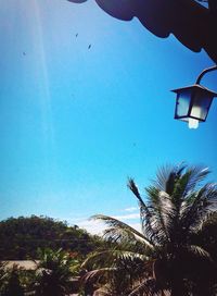 Low angle view of trees against clear blue sky