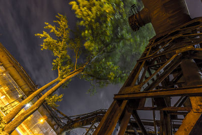 Low angle view of tree at night