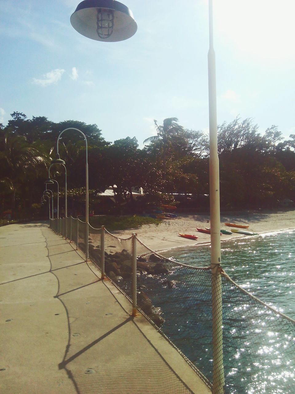 tree, water, street light, sky, tranquility, clear sky, tranquil scene, park - man made space, sunlight, nature, incidental people, day, sea, outdoors, scenics, swimming pool, lighting equipment, beauty in nature, absence, shadow