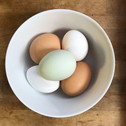 High angle view of eggs in plate on table