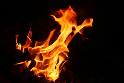 Close-up of fire in dark