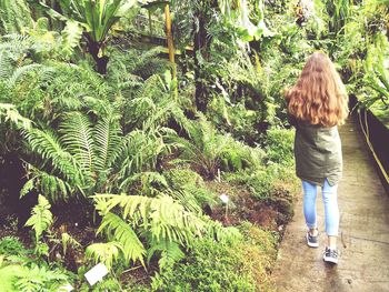 Rear view of woman walking by plants