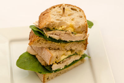 Close-up of food in plate