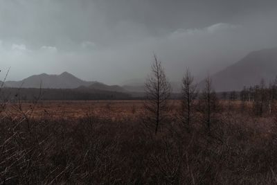 Scenic view of landscape against sky