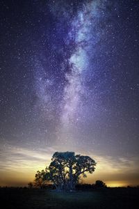 Scenic view of landscape against star field at night