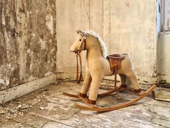 Horse in abandoned castle