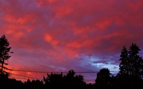 Low angle view of silhouette trees against dramatic sky