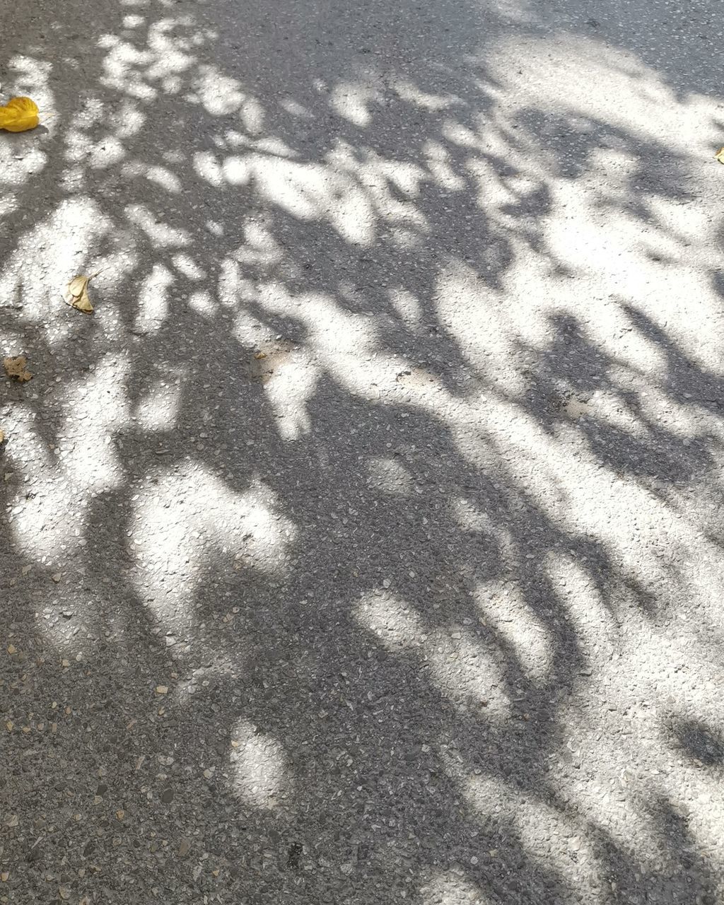 HIGH ANGLE VIEW OF SHADOW ON ROAD