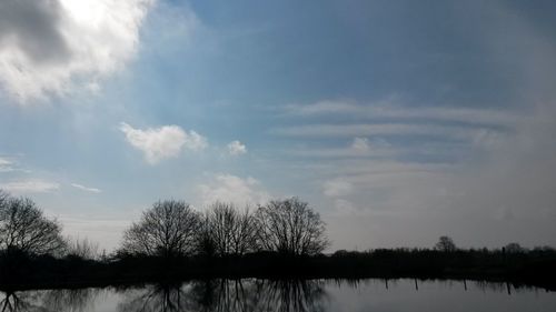 Reflection of trees in lake