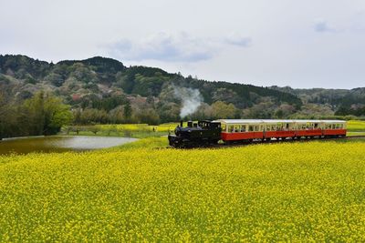 Train on railroad track amidst field against sky