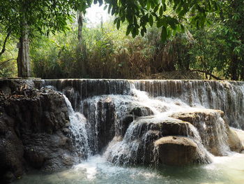 Scenic view of waterfall in forest