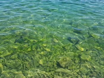 High angle view of rippled water in swimming pool