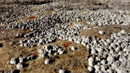 Full frame shot of a sand