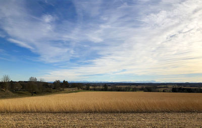 Scenic view of field against sky