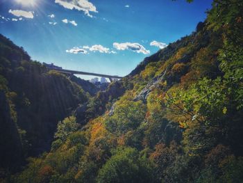 Scenic view of forest against sky