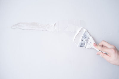 Cropped hand holding dentures against white background