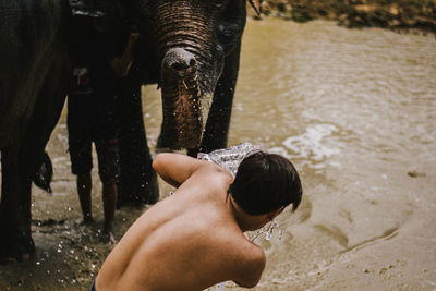 Rear view of shirtless man washing elephant with water pipe while standing in lake