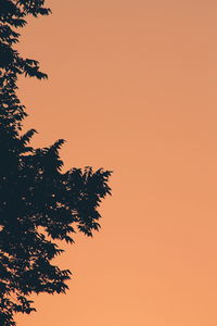 Low angle view of silhouette tree against orange sky