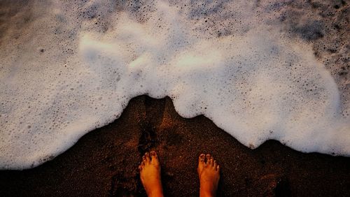 Low section of person standing on beach