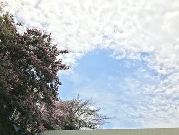 Low angle view of tree against sky