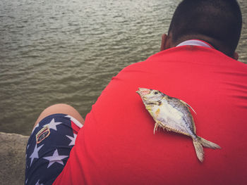 High angle view of dead fish on man back