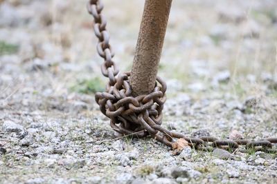 Close-up of rope tied up on metal chain