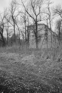 Bare trees on landscape against sky