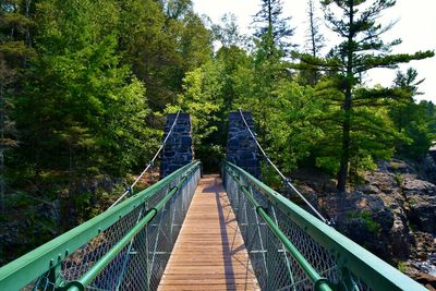Footbridge amidst trees in forest