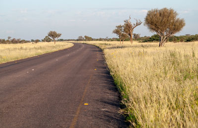 Road amidst field against sky