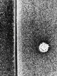 Full frame shot of water