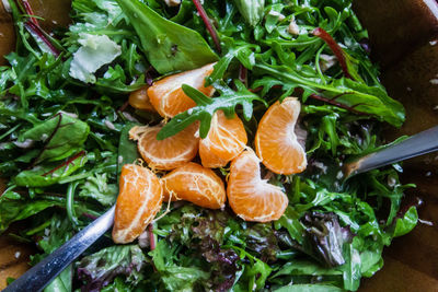 High angle view of orange fruit