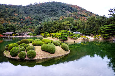 Scenic view of garden by lake